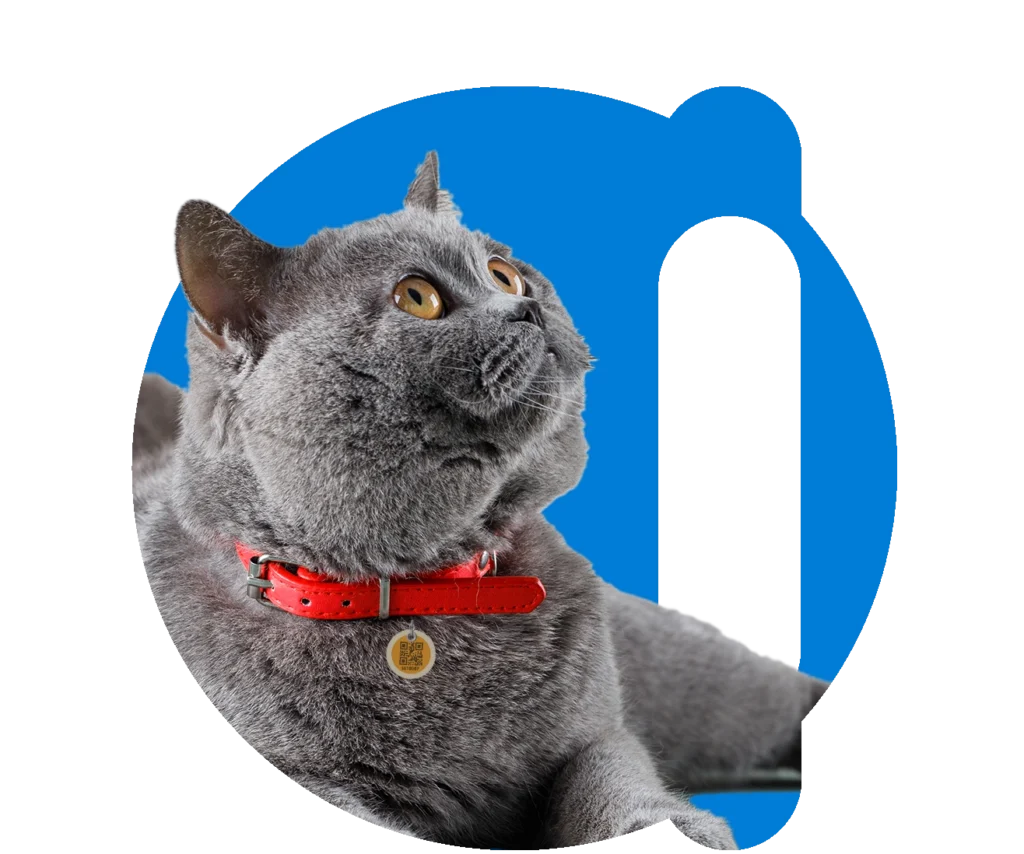 microchip para cachorro animalltag