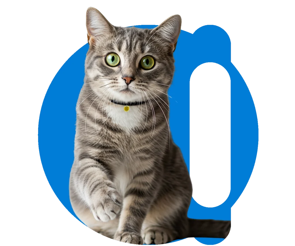 microchip para gatos animalltag